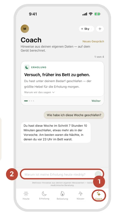 Coach-Tab mit Hinweis und Chat, Eingabefeld (2) und Coach-Knopf in der Leiste (1)